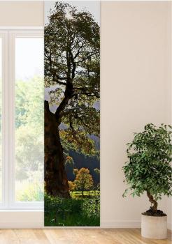 Flächenvorhang Herbstsonnenmomente  , Schiebevorhang, Schiebegardine, modern, 60 cm breit, 2,65 m h